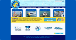 Desktop Screenshot of dolphins.org
